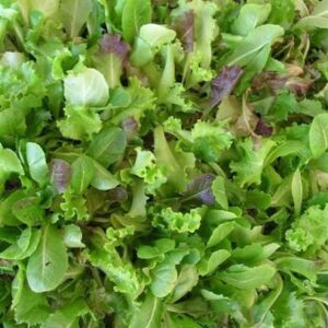Lettuce, Salad Mix (6 oz. bag)