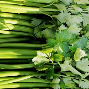 Vegetable, Celery (Bunch)