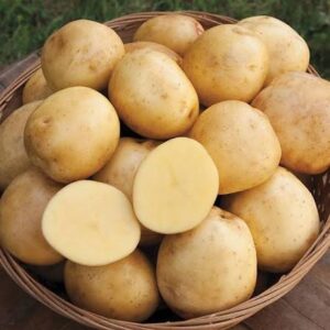 Vegetable, Yukon Gold (2 lb)