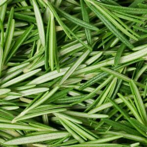 Herb, Rosemary (Bunch)
